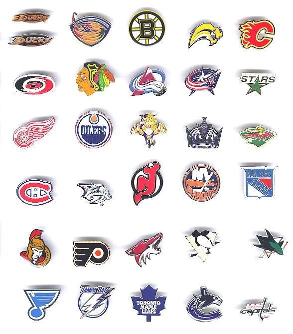 aminco NHL San Jose Sharks Team Logo Pin, team color (NHL-PN-001-21)